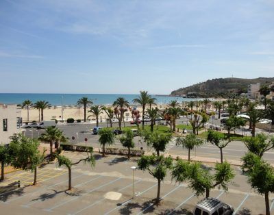 no thumb