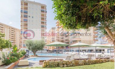 Alquiler de apartamentos en Oropesa del Mar